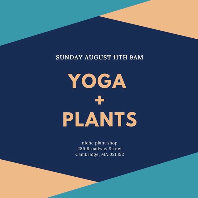 WE&rsquo;RE Back! Come experience a nourishing yoga practice suited for all levels and all bodies with the nurturing embrace of sunshine at Niche plant shop! This event usually sells out- and we&rsquo;re already half way there. Don&rsquo;t say we didn&rsquo;t warn y&rsquo;all! .
.
.
.
.
.
#yougoodsis #jayleetheyogi #rachaeldoesyoga #yoga #yogaevents #bostonyoga #blackyoga #selfcare #blackselfcare #bostonyogis #bostonevents